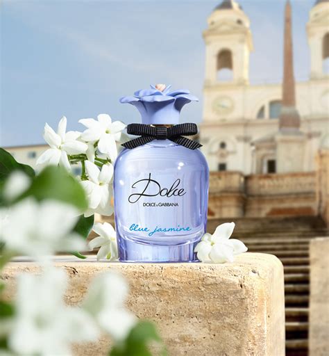 bluefly dolce gabbana|dolce and gabanna blue jasmine.